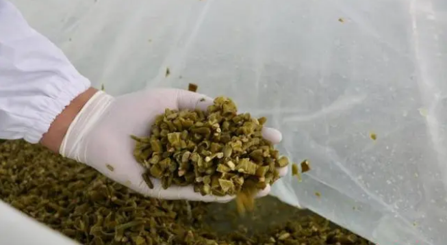 1664351596794632.png image.png